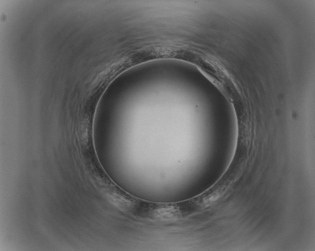 X0000062880505200601201823