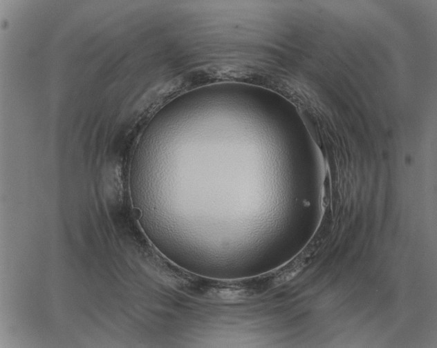 X0000062880506200601201823