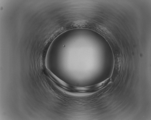 X0000062880508200601201823