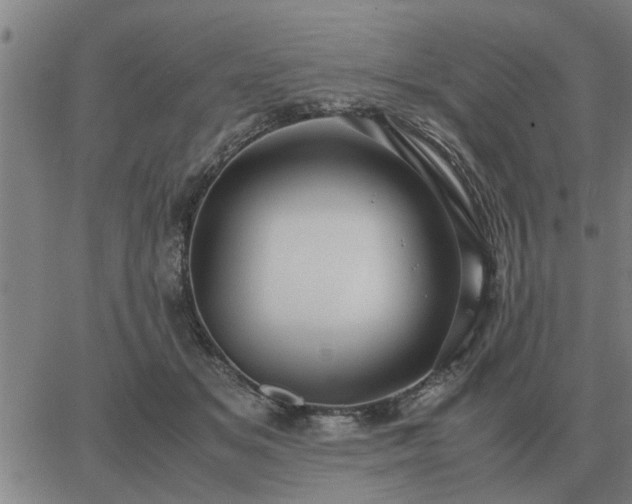 X0000062880509200601201823