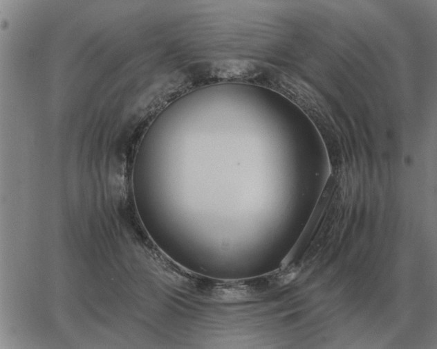 X0000062880510200601201823