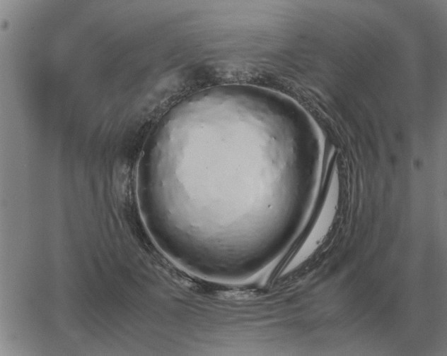 X0000062880511200601201823