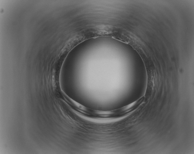 X0000062880512200601201823