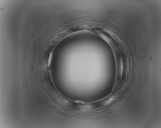 X0000062880513200601201823