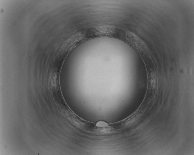 X0000062880514200601201823