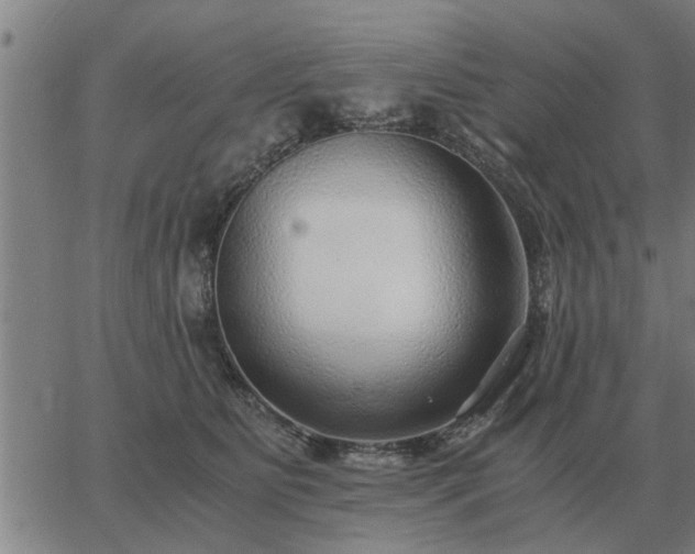 X0000062880515200601201823