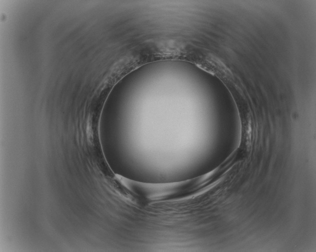 X0000062880516200601201823