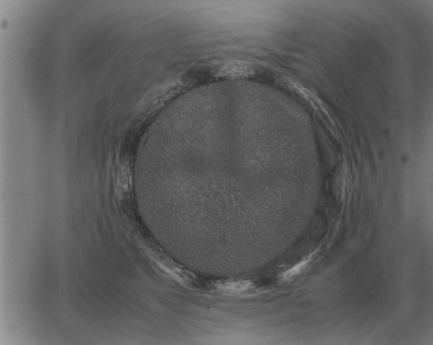 X0000062880517200601201823