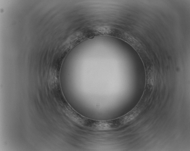 X0000062880518200601201823