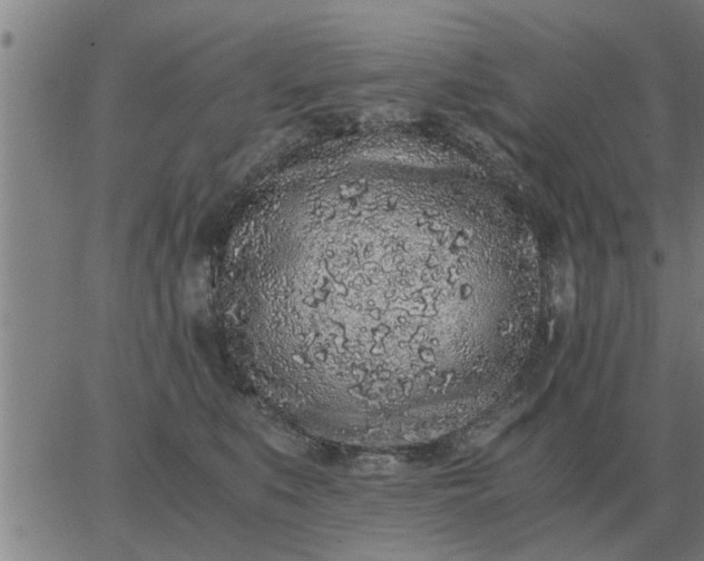 X0000062880519200601201823