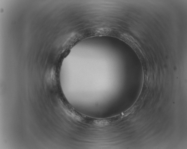 X0000062880520200601201823