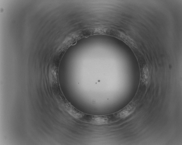 X0000062880522200601201823