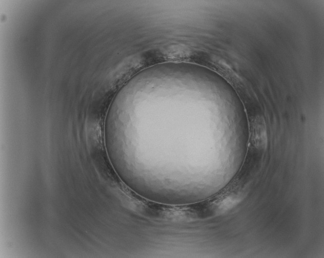 X0000062880523200601201823