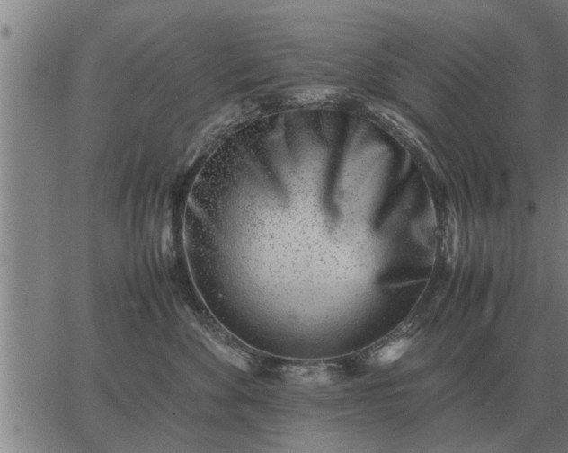 X0000062880524200601201823