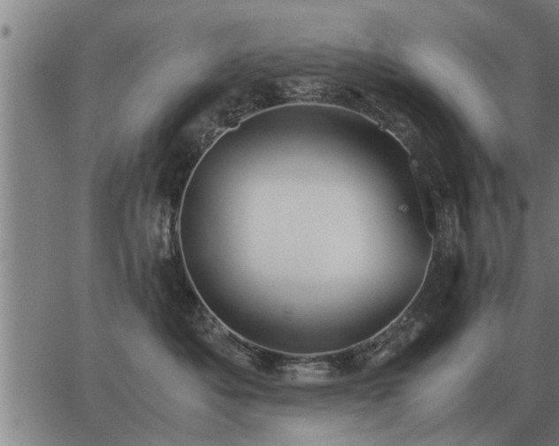 X0000062880525200601201823