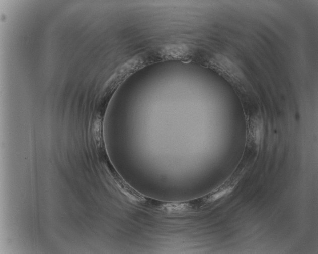 X0000062880526200601201823