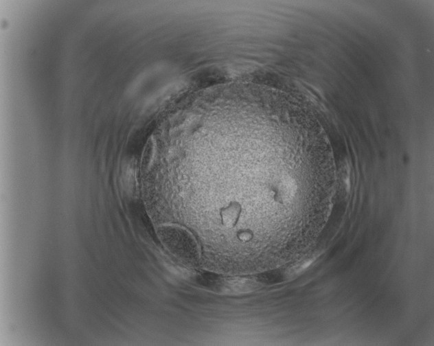 X0000062880527200601201823