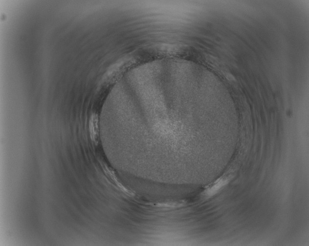 X0000062880528200601201823