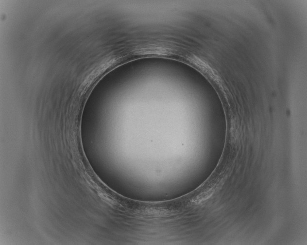 X0000062880529200601201822