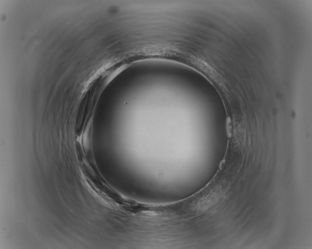 X0000062880530200601201822