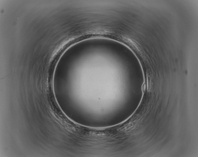 X0000062880531200601201822