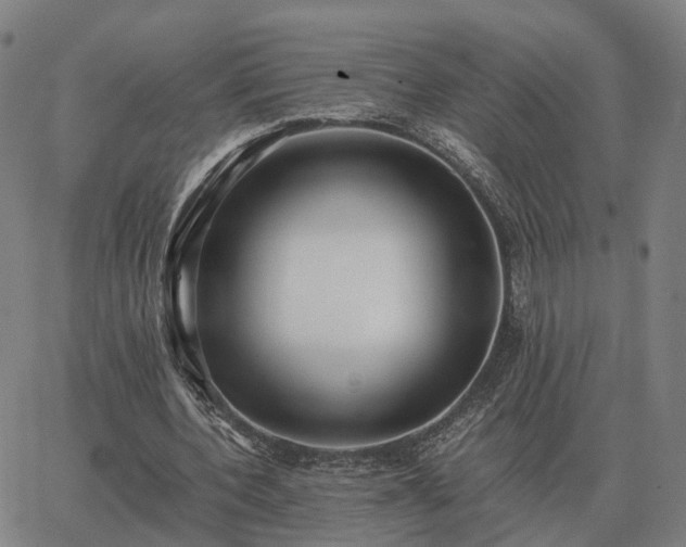 X0000062880532200601201822