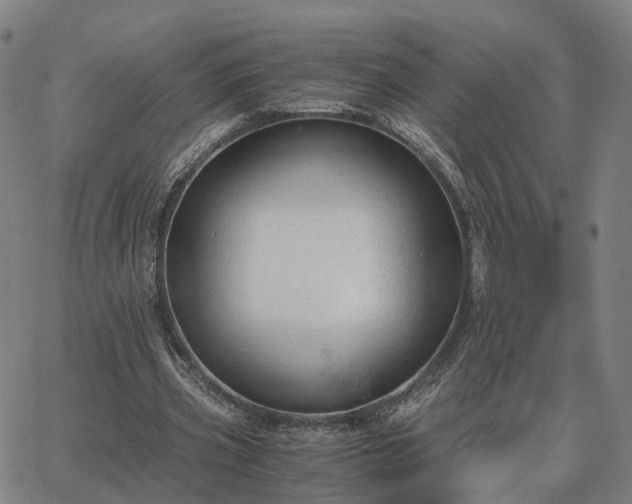 X0000062880533200601201822