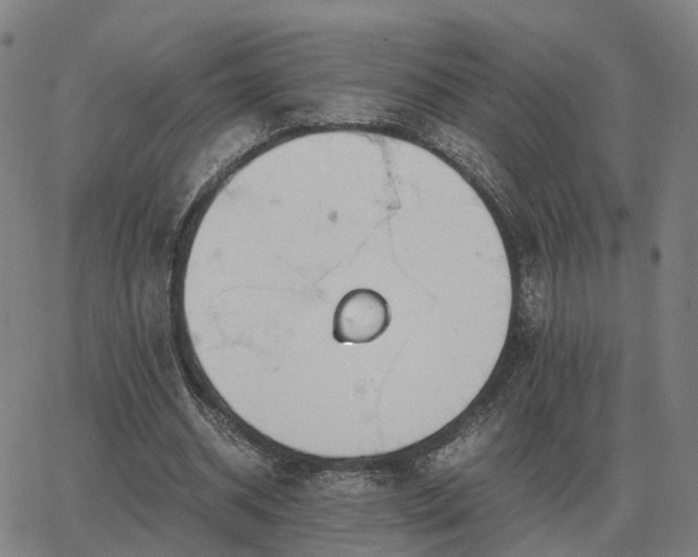 X0000062880534200601201822