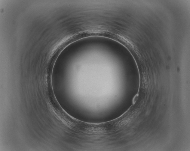 X0000062880535200601201822