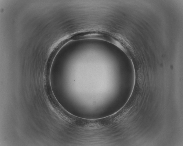 X0000062880536200601201822