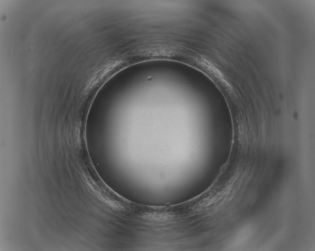 X0000062880537200601201822