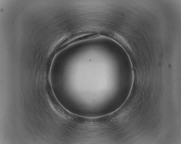 X0000062880538200601201822