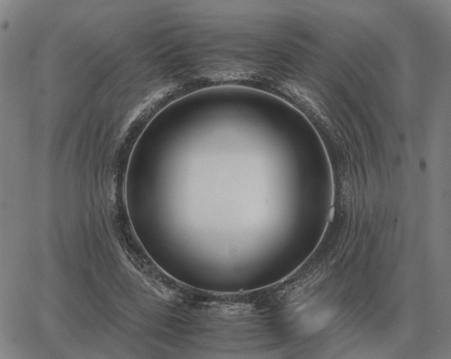 X0000062880539200601201822