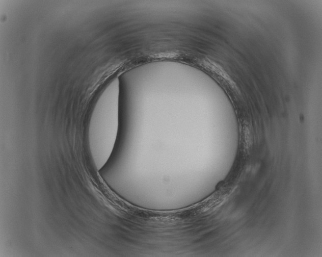 X0000062880541200601201822