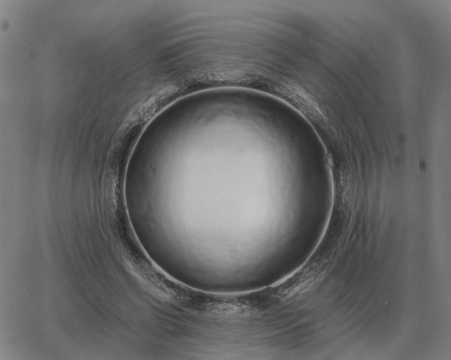 X0000062880542200601201822