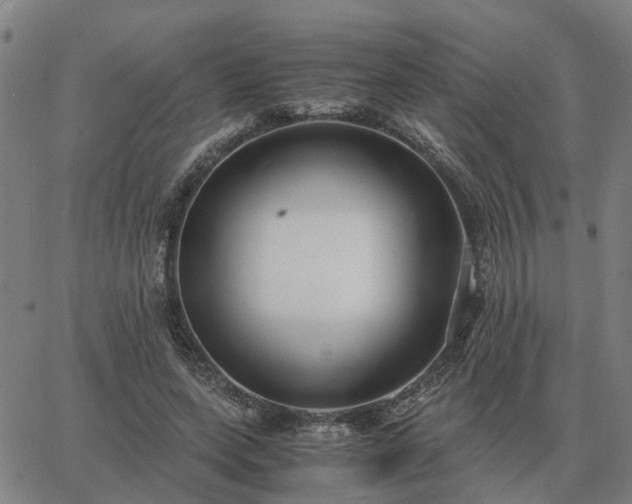 X0000062880543200601201822