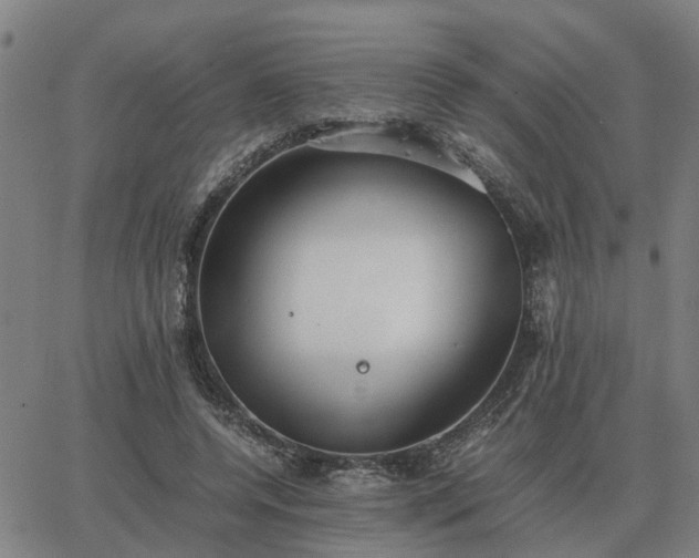 X0000062880544200601201822