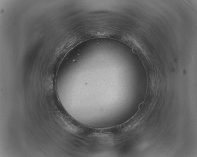 X0000062880545200601201822