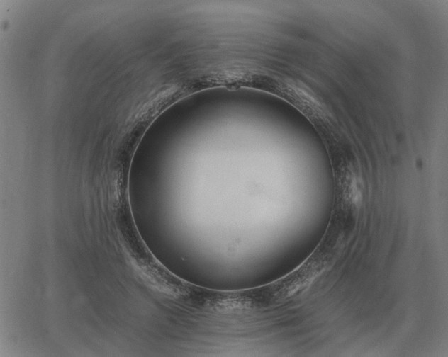 X0000062880546200601201822