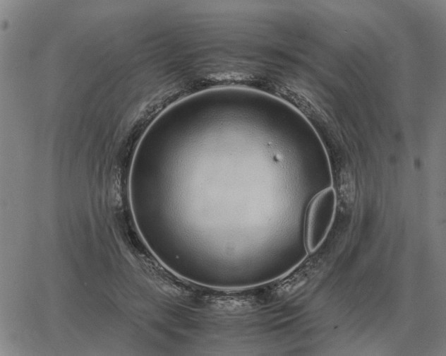 X0000062880547200601201822