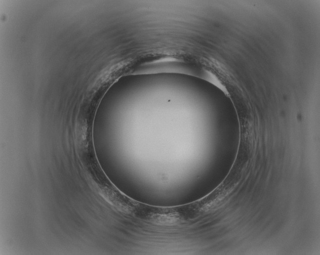 X0000062880548200601201822