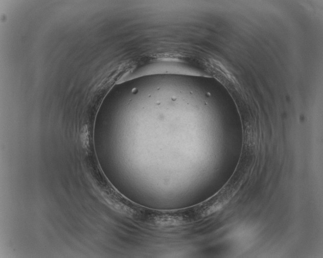 X0000062880549200601201822