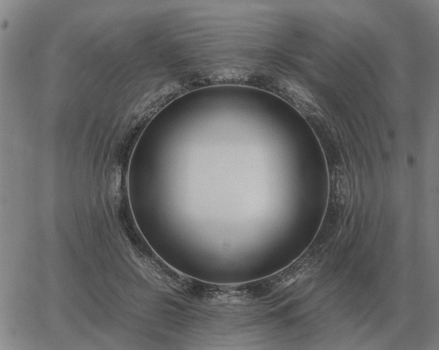 X0000062880550200601201822