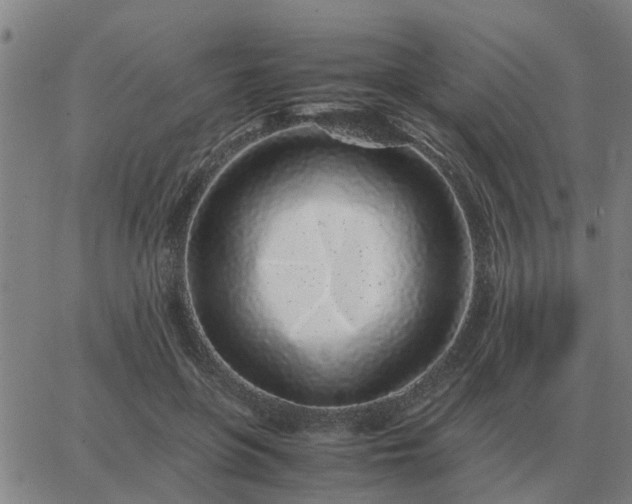 X0000062880551200601201822