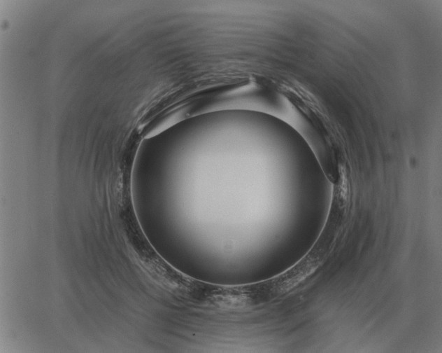 X0000062880552200601201822