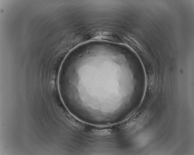 X0000062880553200601201822