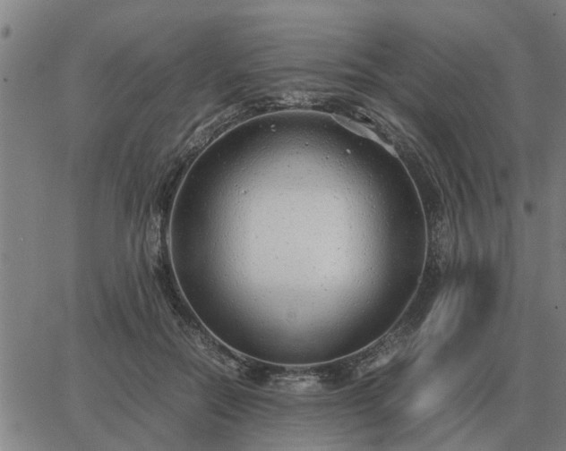 X0000062880554200601201822