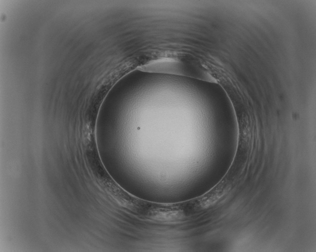 X0000062880555200601201822