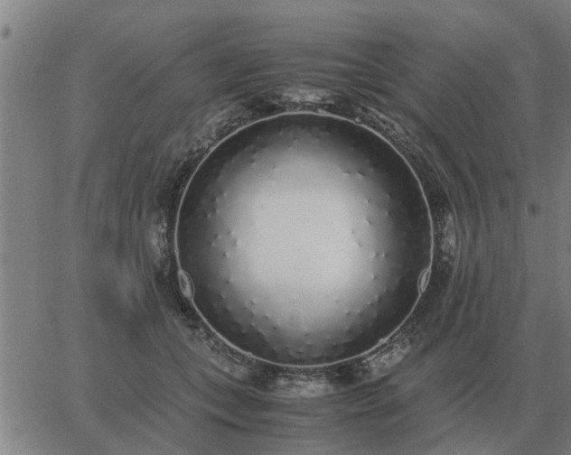 X0000062880559200601201823