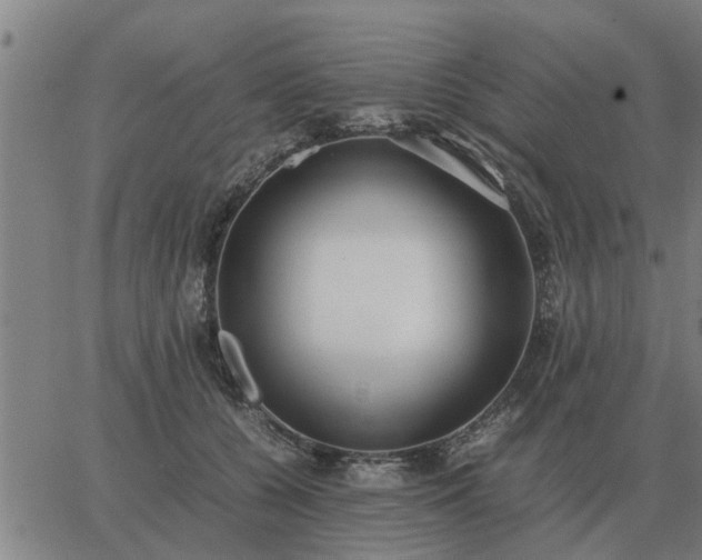 X0000062880560200601201823